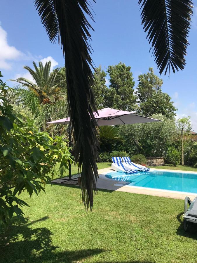 Enrica Bed & Breakfast Fiumicino